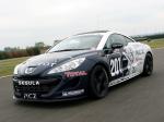Peugeot RCZ Race Car 200ANS 2010 года